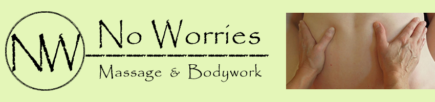 no worries logo